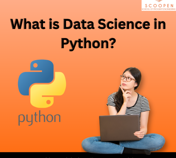 What is Data Science in Python?